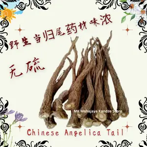 100g Akar Angelica Root Tail Dang Gui Wei Chinese Angelicae