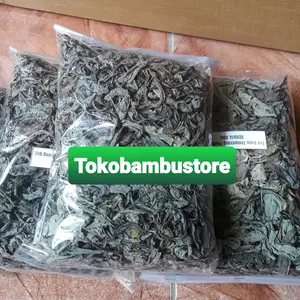 Daun tempuyung kering asli natural-az