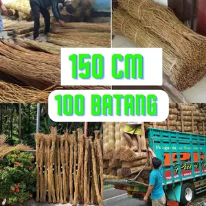 Akar Manon Buat Kerjanan Dekorasi Pesta