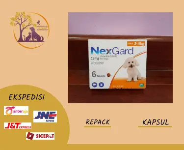 Obat Kutu Anjing Dan Demodex NEXGARD Dog S 2-4 Kg Repack 0