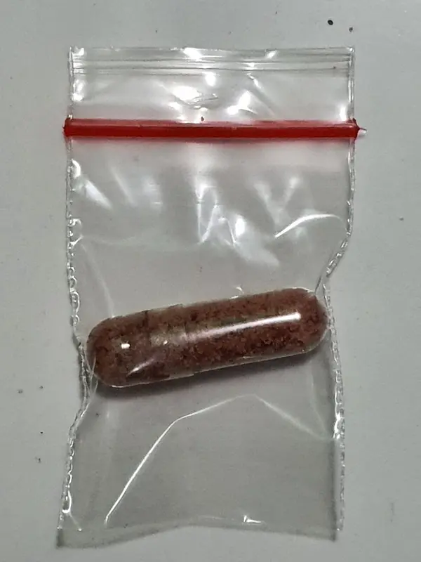 Obat Kutu Anjing Dan Demodex NEXGARD Dog S 2-4 Kg Repack 3