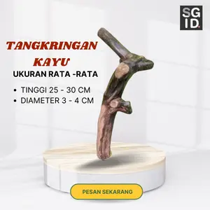 Tangkringan Ranting Kayu Vertikal untuk Hewan Sugar Glider Tupai Burun