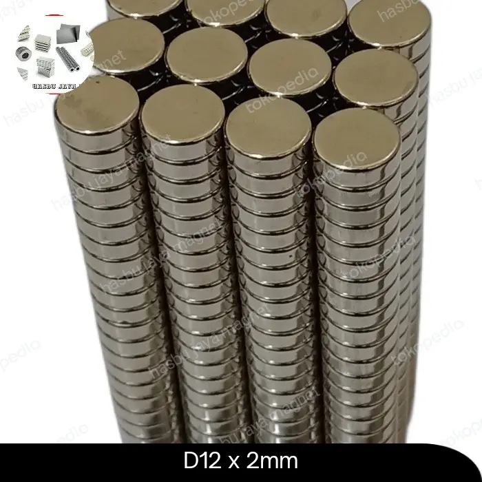 1 Pcs - Magnet Neodymium 12x2 mm High Quality