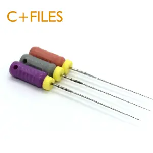 C+ Files Stainless Steel/ Pilot File