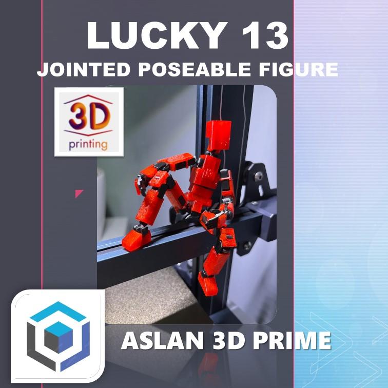 LUCKY 13 JOINTED POSEABLE ACTION FIGURE Custom Color 3D Print 4