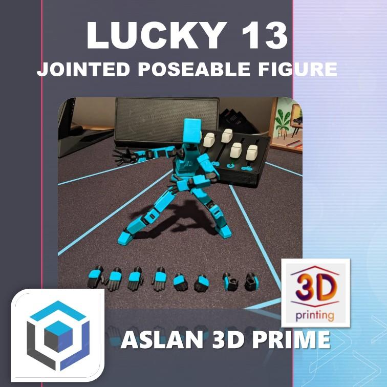 LUCKY 13 JOINTED POSEABLE ACTION FIGURE Custom Color 3D Print 1