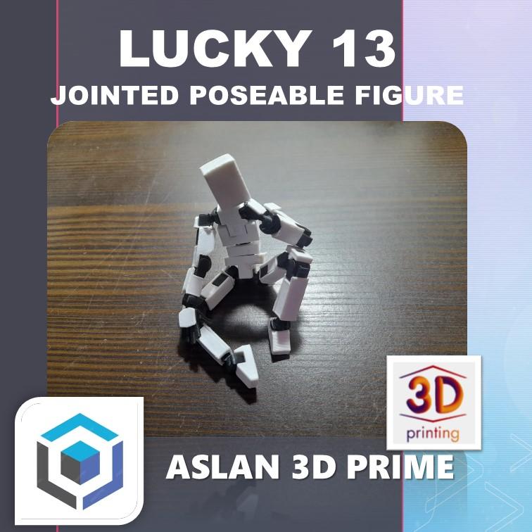 LUCKY 13 JOINTED POSEABLE ACTION FIGURE Custom Color 3D Print 3