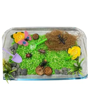 Mainan Montessori - Insect