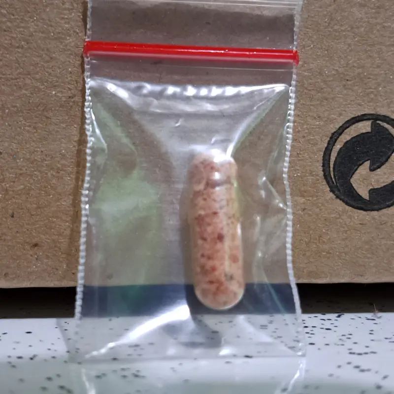 Obat Kutu Anjing Dan Demodex NEXGARD Dog S 2-4 Kg Repack 2