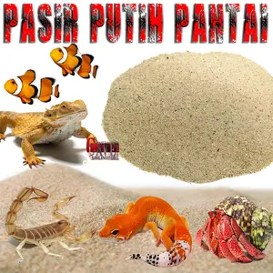 Pasir putih pantai air laut marine alas substrat kelomang aquarium