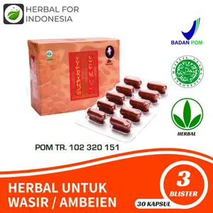 sarang semut/obat kanker isi 30