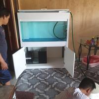 Gambar Aquarium dan Lemari 120x60x60 Minimalis dari SOELTHAN AQUARIUM Kab. Bogor 5 Tokopedia