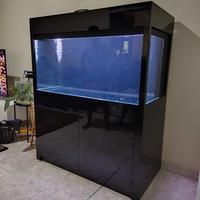 Gambar Aquarium dan Lemari 120x60x60 Minimalis dari SOELTHAN AQUARIUM Kab. Bogor 2 Tokopedia