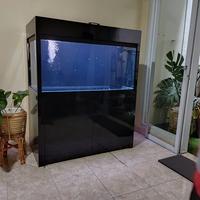 Gambar Aquarium dan Lemari 120x60x60 Minimalis dari SOELTHAN AQUARIUM Kab. Bogor 3 Tokopedia