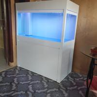Gambar Aquarium dan Lemari 120x60x60 Minimalis dari SOELTHAN AQUARIUM Kab. Bogor 1 Tokopedia
