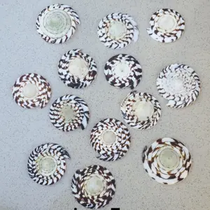 Balusuh pesanan 1paket 100keping