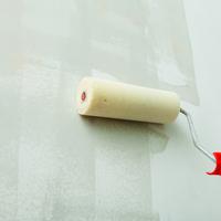 Gambar Cat Sealer Nagarux 5kg ( Cat Pelapis ) dari Nagarux Paint Kota Bekasi 3 Tokopedia