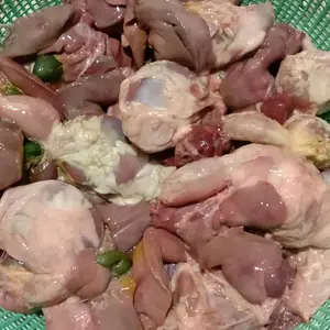 daging ayam sudah dipotong-potong campur