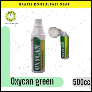 OXYCAN 500 CC OKSIGEN PORTABLE