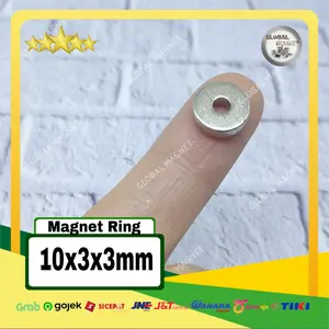 Magnet Neodymium Ring 10x3x3mm