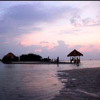 Gambar Paket Wisata Pulau Pari Tour via Marina Ancol dari Endangered Store Kota Administrasi Jakarta Utara 4 Tokopedia