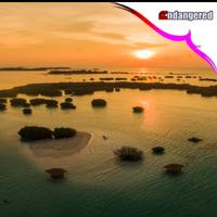 Gambar Paket Wisata Pulau Pari Tour via Marina Ancol dari Endangered Store Kota Administrasi Jakarta Utara 1 Tokopedia