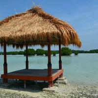 Gambar Paket Wisata Pulau Pari Tour via Marina Ancol dari Endangered Store Kota Administrasi Jakarta Utara 3 Tokopedia