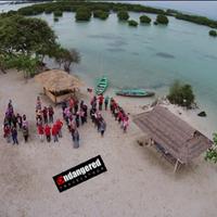 Gambar Paket Wisata Pulau Pari Tour via Marina Ancol dari Endangered Store Kota Administrasi Jakarta Utara 2 Tokopedia