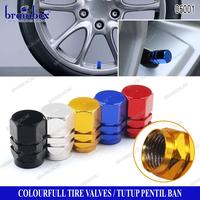 Gambar Pentil Warna - Glow In The Dar dari Brainbox Car and Home Kota Batam 1 Tokopedia