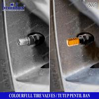 Gambar Pentil Warna - Glow In The Dar dari Brainbox Car and Home Kota Batam 5 Tokopedia