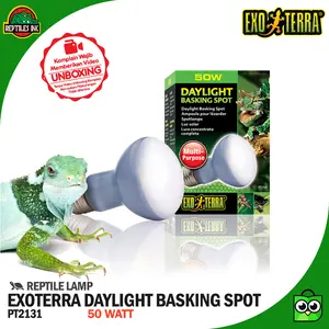 Exoterra Daylight Basking 50 Watt