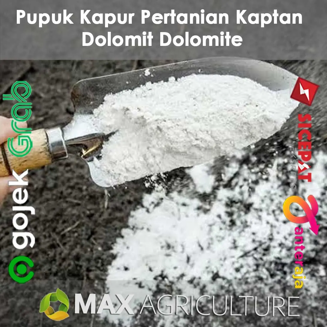 Pupuk Kapur Pertanian Kaptan Dolomit Dolomite