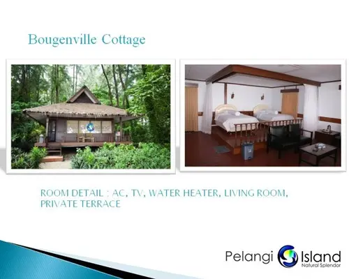 Gambar Paket Wisata Pulau Pelangi Tour Pulau Seribu dari Endangered Store Kota Administrasi Jakarta Utara 4 Tokopedia