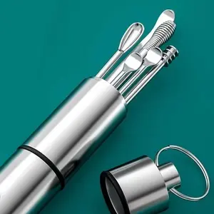 alat pembersih telinga korek kuping set stainless ear wax besi tabung