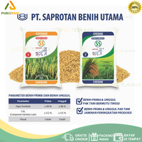 Gambar Benih Padi CIHERANG jumbo Pak Tani 5kg Benih Prima Paktani SS dari PUROTANI.ID Kab. Purworejo 3 Tokopedia