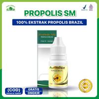 Gambar Obat Tradisional Gonore Atau Kencing Nanah Sipilis Raja Singa Propolis dari Iki Herbal Kota Administrasi Jakarta Barat 1 Tokopedia