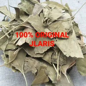 50 gram Obat Herbal Gingkgo Leaf Super Ginkgo Biloba Ginko