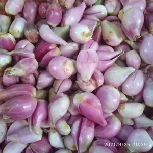 bawang merah kupas