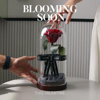 Gambar Outerbloom Bunga Valentine - The Novo Enchanted Dome - Passionate Red - Novo RED dari Outerbloom Kota Administrasi Jakarta Selatan 5 Tokopedia