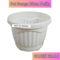 Gambar Pot Bunga 25 Putih Pot Plastik Pot Tulip 25cm Putih Pot tanaman bibit dari grosir botol_NEW Kota Tangerang 1 Tokopedia