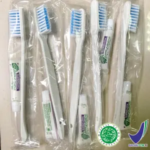 Dental Kit Set hotel / sikat gigi + odol pasta gigi nature mint murah