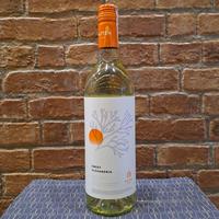 Gambar hatten sweet alexandria white wine dari The Wine Corner ID Kota Administrasi Jakarta Selatan 2 Tokopedia