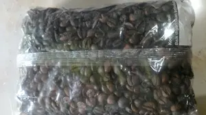 Parfum pewangi mobil ruangan alami natural biji kopi asli 1 kg