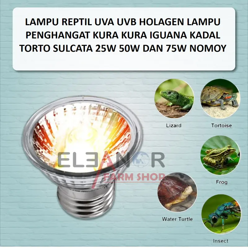 Lampu Reptil UVA UVB Holagen Lampu Penghangat Kandang 25W 50W75W Nomoy 3