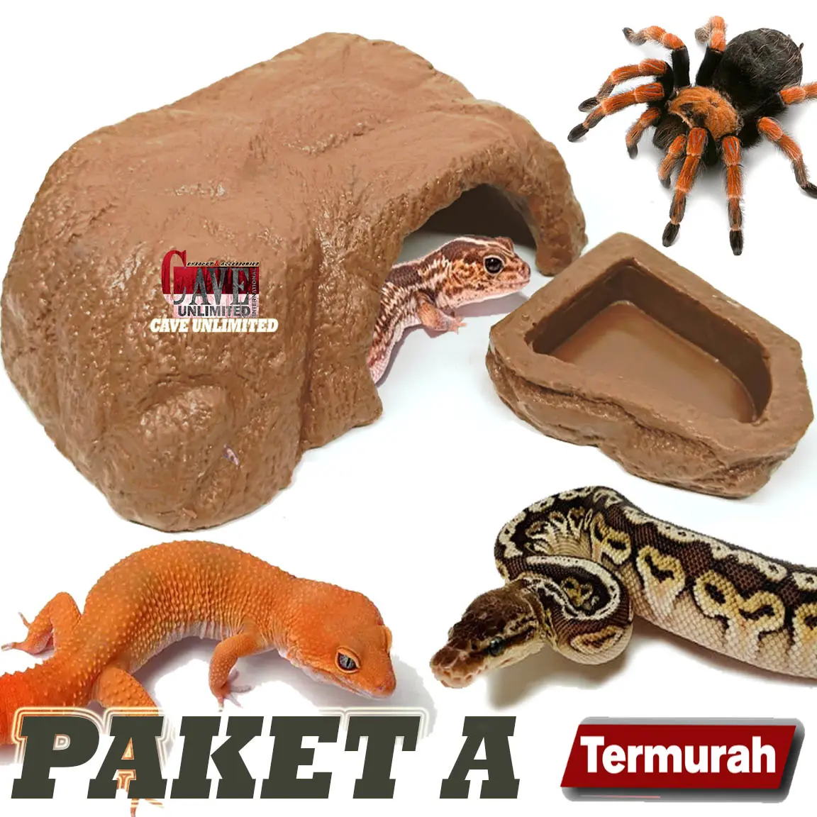 PAKET HIDING CAVE TYPE A TEMPAT SEMBUNYI WATER DISH REPTILE GECKO ULAR