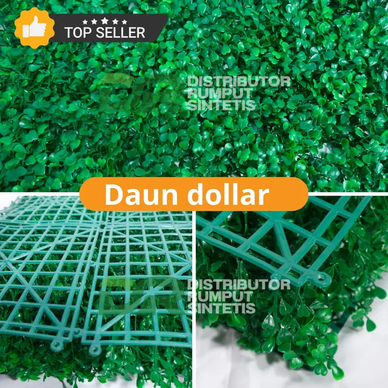 Daun Dollar UK 50x50CM FULL HIJAU - Cocok Untuk Indoor Dan Outdoor 5