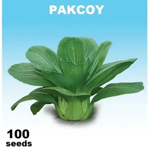 PAKCOY 100 Biji - Benih - bibit PAKCOY / PAKCOI / PAK CHOY