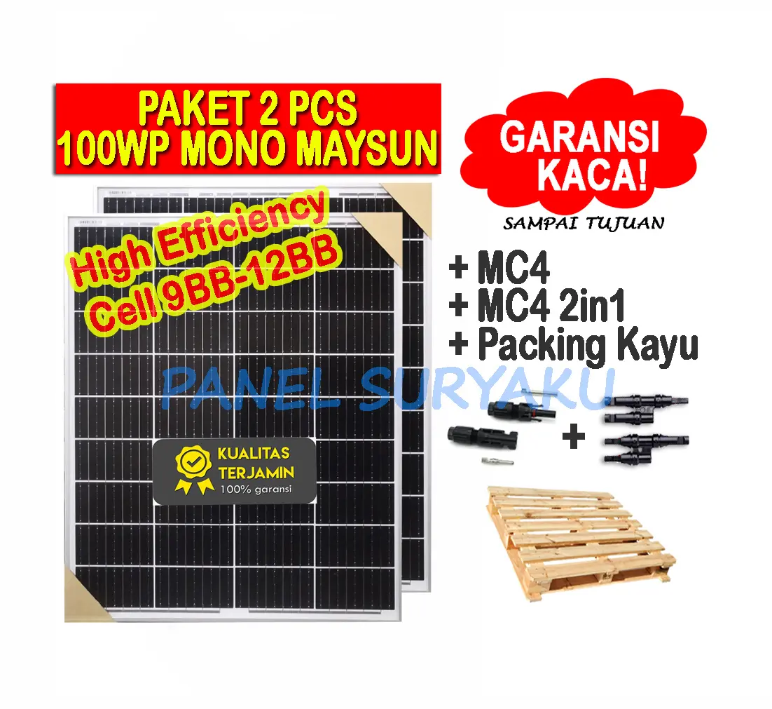 Paket 2Pcs Solar Panel Surya 100wp Mono ORIGINAL FREE Packing Kayu