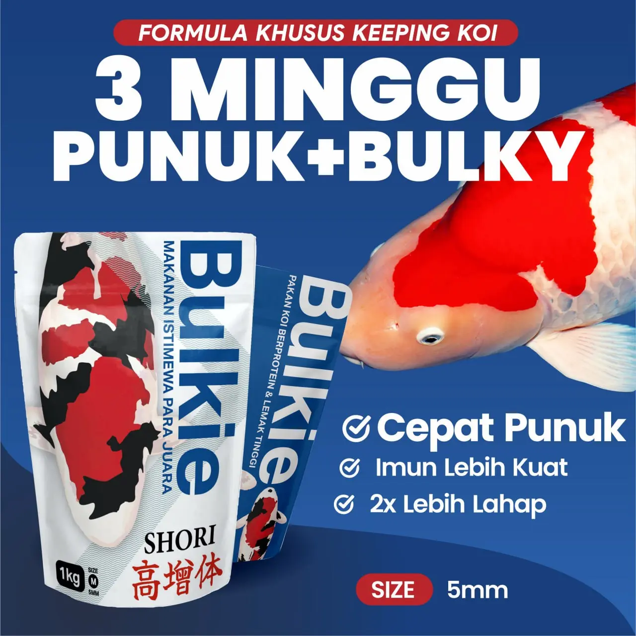 Pelet / Pakan Makanan Ikan Koi Apung 1 Kg Bulkie Hi Growth