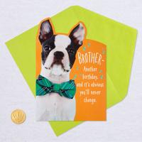 Gambar GREETING CARD- HALLMARK- KARTU UCAPAN-BIRTHDAY CARD- DOG WITH BOW TIE dari Hallmark Cards Indonesia Kota Administrasi Jakarta Utara 5 Tokopedia